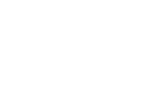 remote raven logo