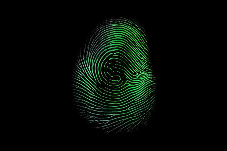 Can An Investigator Work From Home? Learn More About A Digital Forensic Analyst