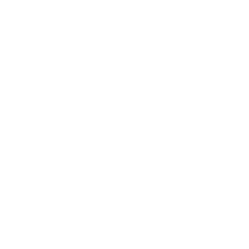 Safe Raven Protocol