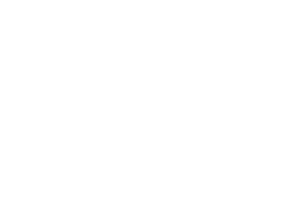 remote raven logo